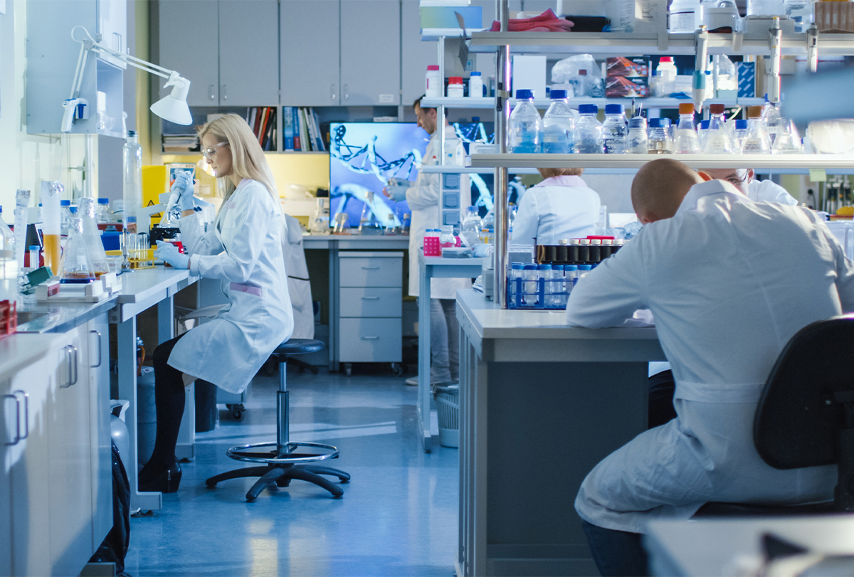 Portrait of a Microbiology Lab